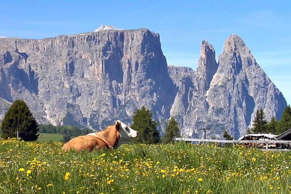 Fantastico Monolocale In Siusi Sciliar Apartment Екстериор снимка
