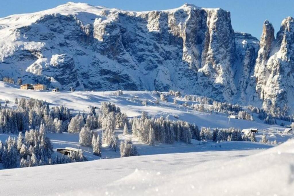 Fantastico Monolocale In Siusi Sciliar Apartment Екстериор снимка